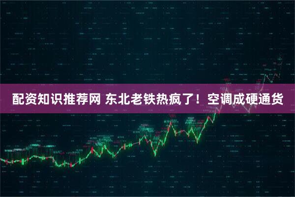 配资知识推荐网 东北老铁热疯了！空调成硬通货